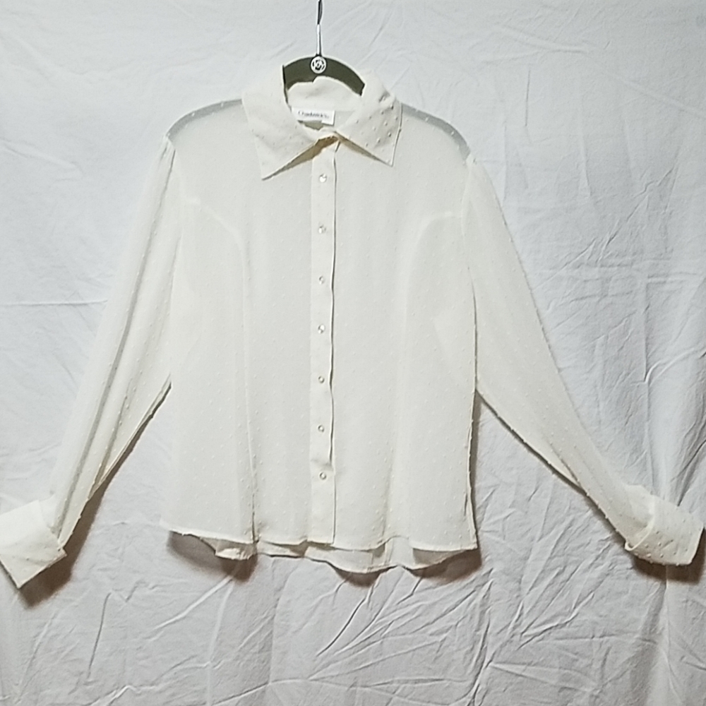 Chadwick’s 🤍 Ivory Swiss Dot Blouse